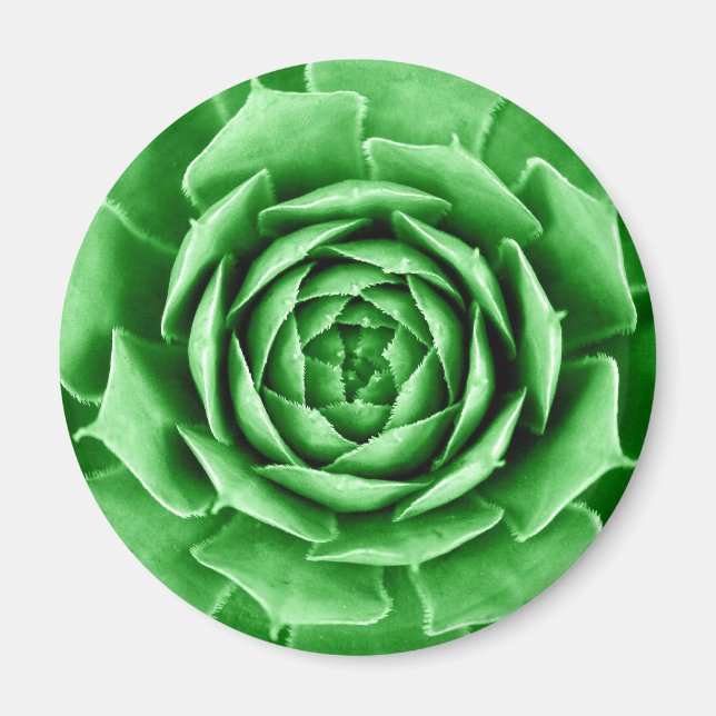Aimant Succulent (Devant)