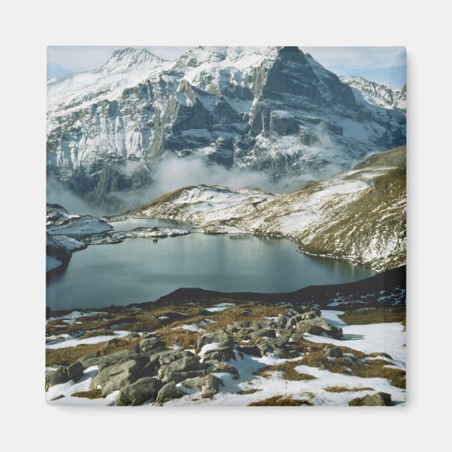 Aimant Suisse, Grindelwald, Alpes bernoises, Vue (Devant)