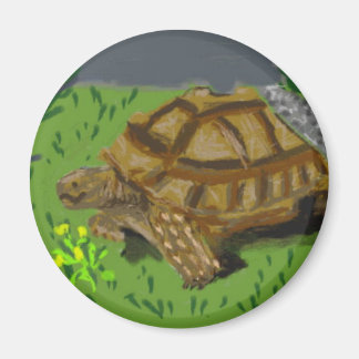 Aimant Sulcata Tortoise