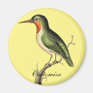 Aimant Sun Thunder_Cove