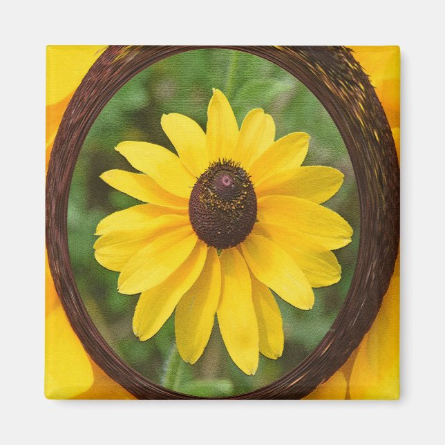 Aimant Sunny Susan... (Devant)