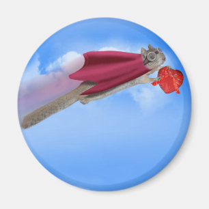 Aimant Super écureuil Valentine Candy