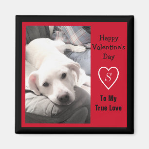 Aimant Super mignonne Saint Valentin Chien rouge et noir
