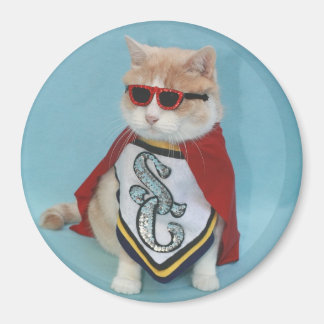 Aimant Superhero Bubba