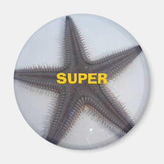 Aimant Superstar