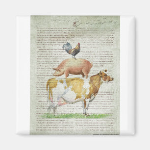 Aimant Support B1.tif de la ferme NOB11