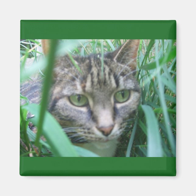 Aimant Sur l'aimant Chasse Chat (Devant)