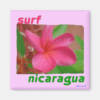 aimant - surf nicaragua