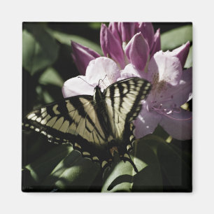 Aimant Swallowtail & Rhododendron