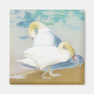 AIMANT SWANS