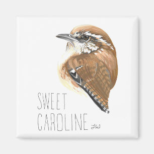 Aimant Sweet Caroline (Carolina Wren)