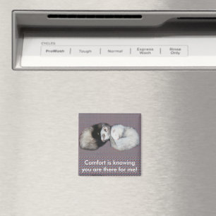 Aimant Sweet Dreams Ferrets