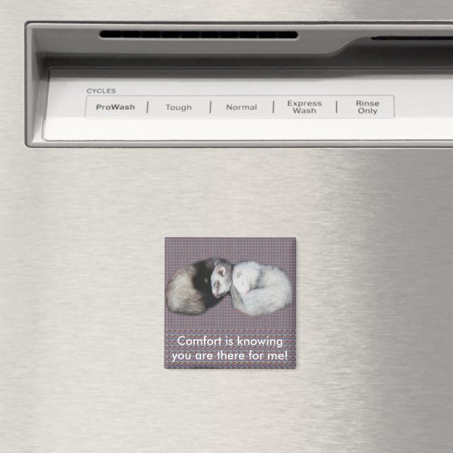 Aimant Sweet Dreams Ferrets (In Situ (Lave-vaisselle))