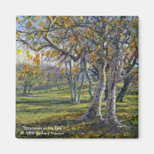 Aimant Sycamores à l'automne