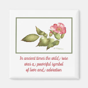 Aimant Symbole de fleur d'aquarelle rose rose sauvage