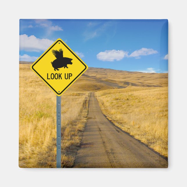 Aimant Symbole de porc volant (Devant)