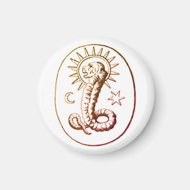 AIMANT SYMBOLE DÉMIDOTER (Devant)