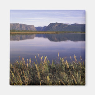 Aimant T.N., Canada, Terre-Neuve, Gros Morne National