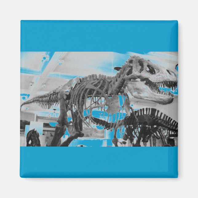 Aimant T-Rex Crayon squelette (Devant)