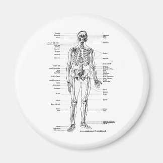 AIMANT T-SHIRTS ET CADEAUX ANATOMY SKELETON