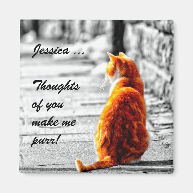 Aimant Tabby A-PAL Tinted Orange Tabby Peinture Personnal (Devant)