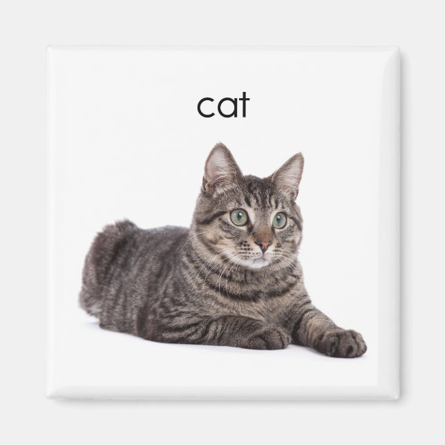 Aimant Tabby Cat (Devant)