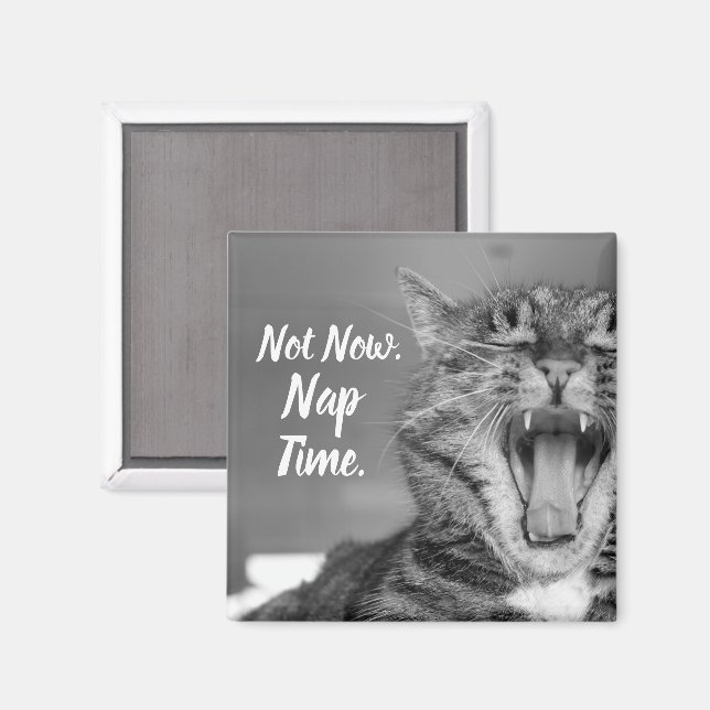 Aimant Tabby Cat Yawning, Pas Maintenant Nap Time (Recto/Verso)
