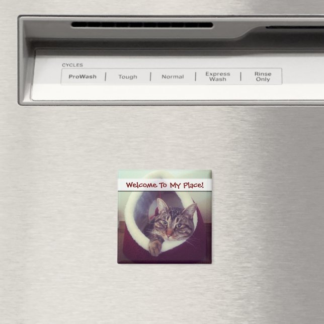 Aimant Tabby Kitty Dans La Cabine Photo De Gros Plan (In Situ (Lave-vaisselle))