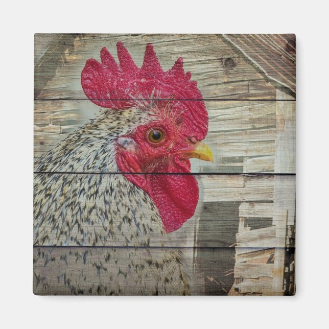 Aimant Tableau de la grange de poulet rustique Rooster (Devant)