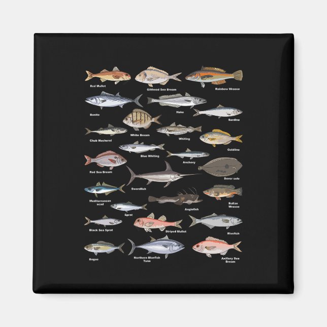 Aimant Tableau d'identification de poissons vintage pêche (Devant)
