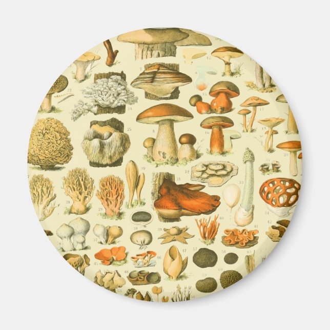 Aimant Tabouret de toilette Vintage de champignons Illust (Devant)