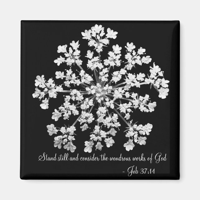 Aimant Tâche 37:14 (Devant)