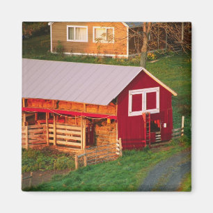 Aimant Tâches matinales à la ferme. USA, Vermont,
