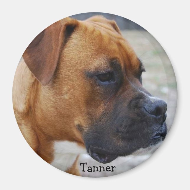 Aimant Tanner (Devant)
