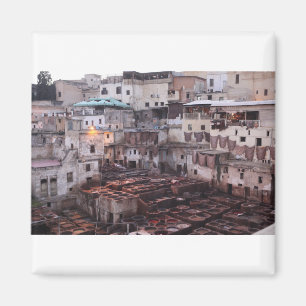 Aimant Tannerie en cuir Fes - Fes - Maroc