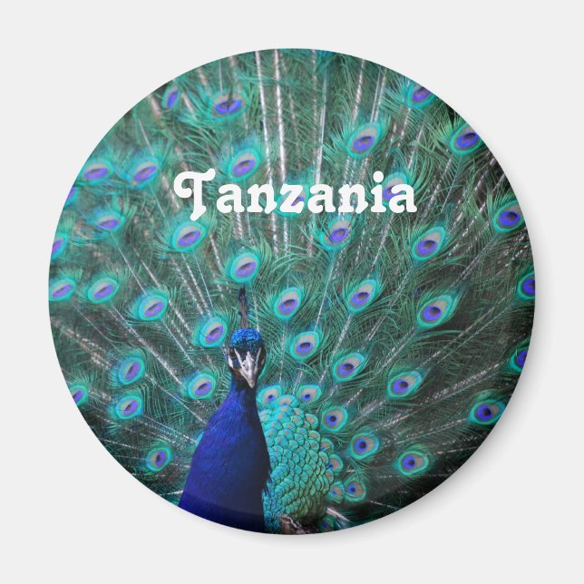 Aimant Tanzanie Peacock (Devant)