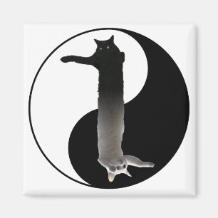 Aimant Tao de Longcat