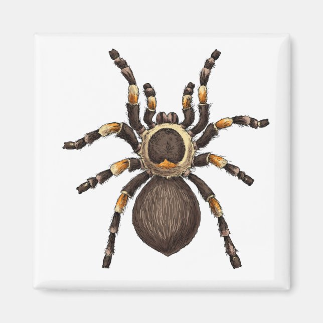 Aimant Tarantula (Devant)