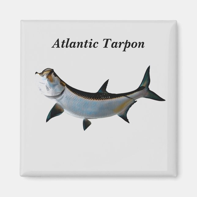 Aimant Tarpon Atlantique (Devant)
