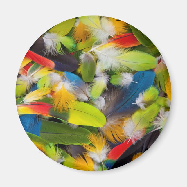 Aimant Tas de plumes colorées (Devant)