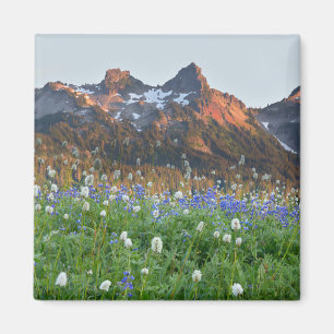 Aimant Tatoosh Range et fleurs sauvages Mt. Rainier