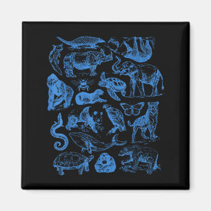 Aimant Tatouage Rétro Animaux Faune Conservation de la Na