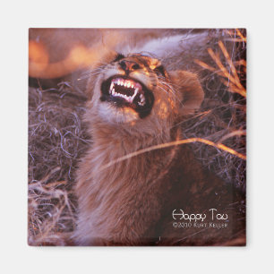 Aimant Tau heureux, jeune lion souriant