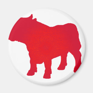 Aimant Taureau voient le rouge