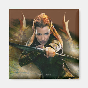 AIMANT TAURIEL™