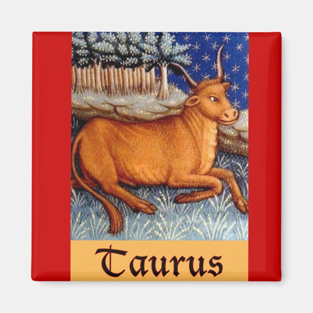Aimant Taurus (Devant)