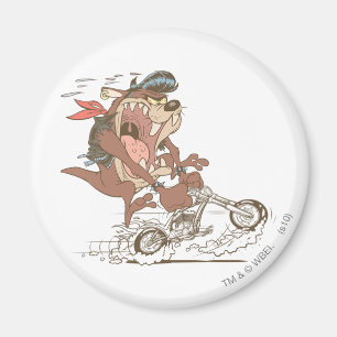 Aimant TAZ™ Slick Hog