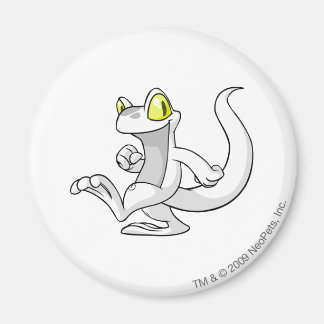 Aimant Techo Blanc