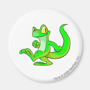 Aimant Techo Glissant