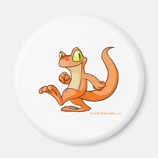 Aimant Techo orange en quête